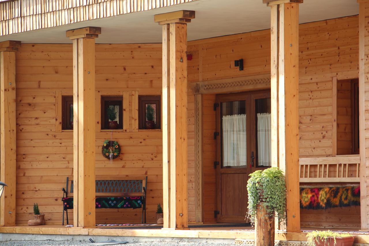 Hotel Casa Ralucai à Moisei Extérieur photo