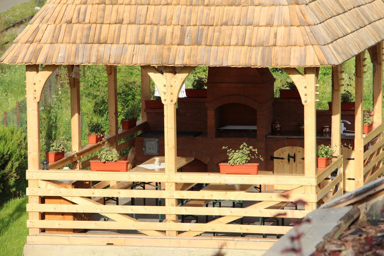 Hotel Casa Ralucai à Moisei Extérieur photo